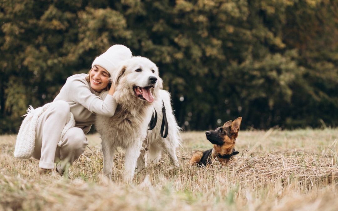 Barkfest 2024: A National Dog Day Celebration You Can’t Miss!